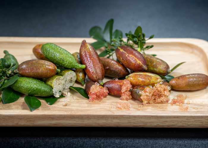 Finger Lime EKO - Bild 2