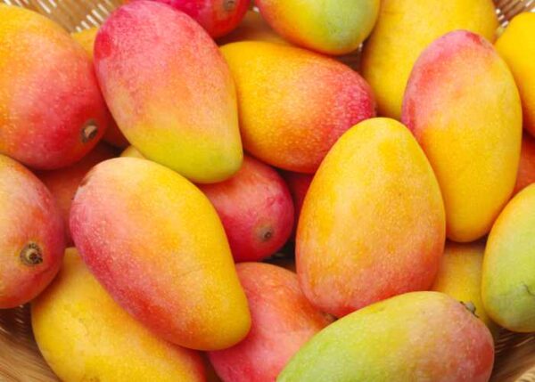 Mango 1kg - Bild 3